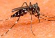  Saúde confirma o 1º caso de zika vírus em Botucatu
