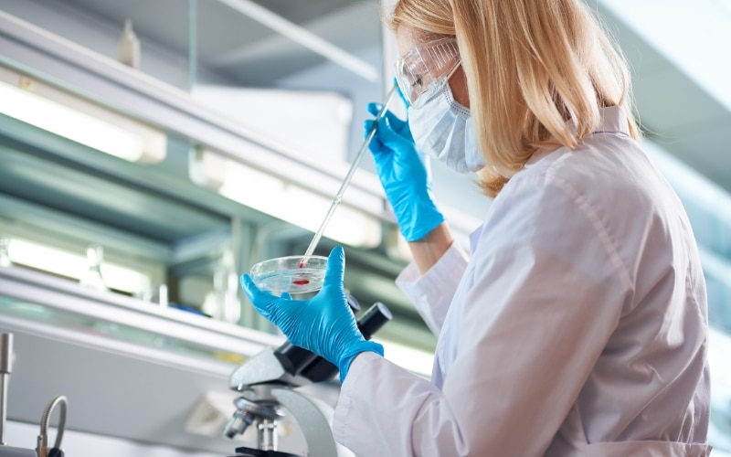 projeto-meninas-na-ciencia