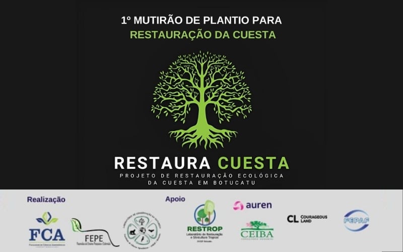 restaura-cuesta-oferece-reflorestamento